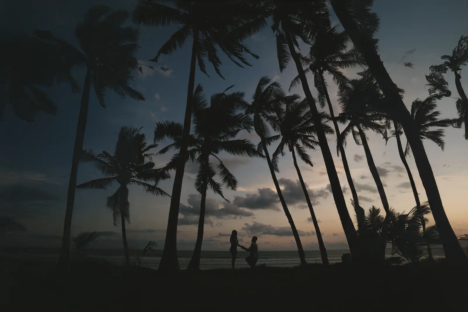 Silhouette of a man proposing to his partner on the beach beneath tall palm trees at dusk